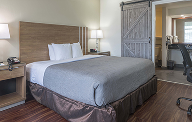 1 King Bed, Mobility Accessible, Ground Floor 